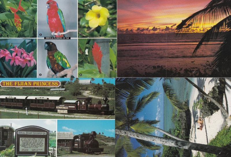 Fijian Sunbathing Birds Flowers Trains Sunset 4x Postcard s