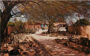 Postcard Ghost Ranch Lodge Tucson Arizona Cactus Garden Best Western Motel