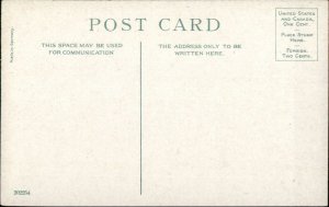 Native American Indian Chiefs c1910 Postcard - SKIN COTE