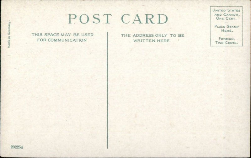 Native American Indian Chiefs c1910 Postcard - SKIN COTE