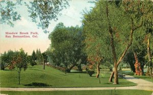 Meadow Brook Park San Bernardino California Souvenir #J327 1915 Postcard 21-2868