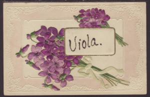 Viola First Name,Violets Postcard 