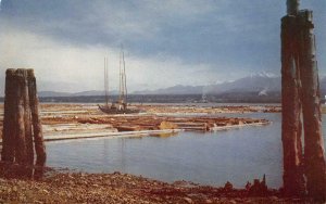 LOG BOOM Puget Sound, Port Angeles, WA Logging c1950s Vintage Postcard