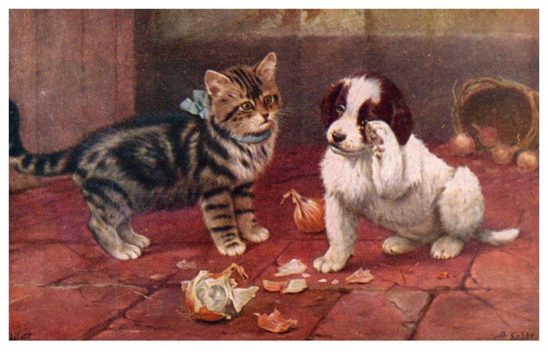 Dog ,  Spaniel puppy and cat