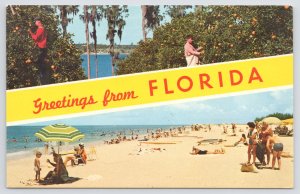 Greetings From Florida~Beach & Orange Grove Scenes~Mirro Krome~Vintage Postcard