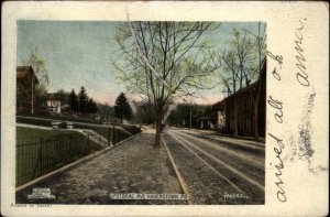 Hagerstown MD Potomac Ave c1910 Postcard