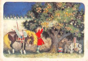 Man Picking Fruit with Horse Antique Postcard J41519