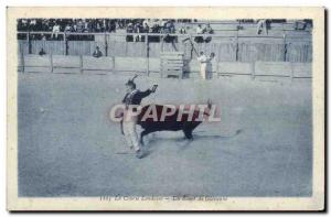 Old Postcard The race Landes A gap Giovanni (bull toro) Mount of Marsan