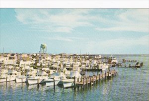 Maryland Ocean City Deep Sea Sport Fishing Fleet