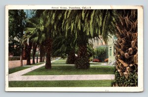 Street View Padadena California Palm Trees Flowers WOB Vintage UNP Postcard