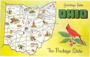 Greetings from the Ohio The Buckeye State Map Card OH 1959