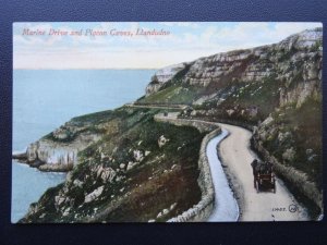 Wales LLANDUDNO Marine Drive & Pigeon Caves c1909 Postcard by Valentine