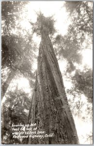 Redwood Highway California CA Looking Up Worlds Tallest Tree RPPC Photo Postcard