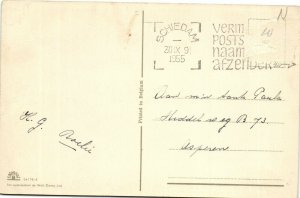 PC DISNEY, HUEY AND DEWEY DUCK, PIG, DONALD DUCK, Vintage Postcard (b27760)