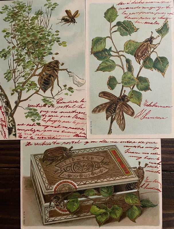 Lot 3 embossed 1900s Pentecost greetings postcards beetle bugs fantasy cigar box 