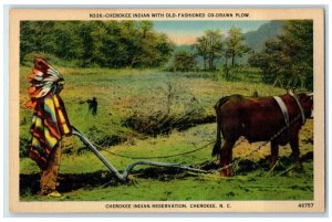 1940 Cherokee Indian Old Fashion Ox-Drawn Plow Cherokee Utah UT Vintage Postcard