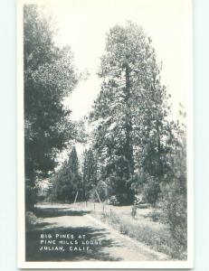 old rppc NICE VIEW Julian - Near Ramona & Escondido California CA i6956