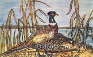 Artist Nyla Thompson PostcardSeries DB-23