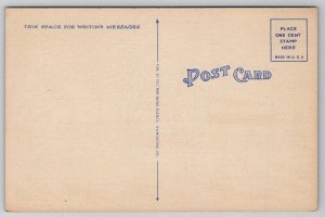 Rehoboth Beach DE Delaware Hotel Henlopen Postcard H34