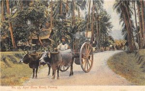 Ayer Etam Road PENANG Ox Cart Malaysia 1909 Vintage Postcard