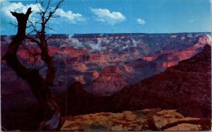 Grand Canyon National Park Arizona AZ Postcard VTG UNP Fred Harvey Vintage 