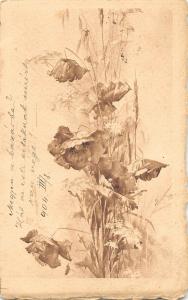 CA180 flower fleur kolozsvar cluj 1904