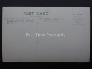 Shropshire: Shrewsbury, Haughmond Abbey c1903 - Old Postcard