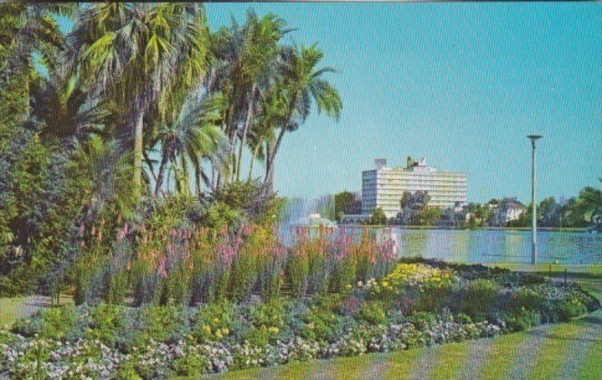 Florida Orlando Flowers and Palms At Lake Eola