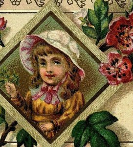 1880's Lion Coffee Mocha Java & Rio Woolson Spice Co. Adorable Girl Flowers P158