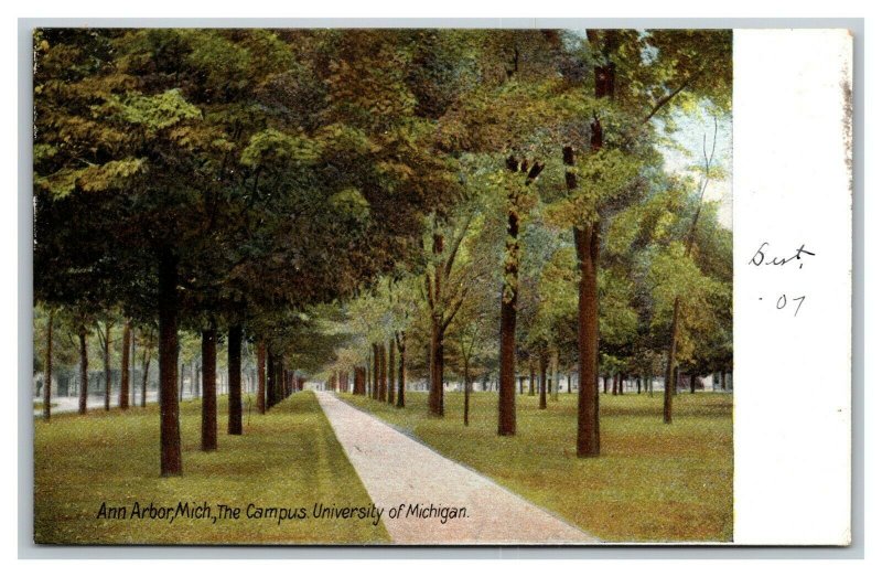 Vintage 1910's Postcard Tree Lined Walkway Campus University of Michigan