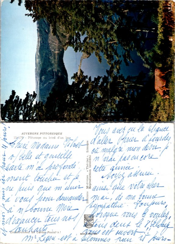 Auvergne Pittoresque, Paturage au bord d'un lac, France (8967)