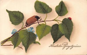 Pentecost Greetings Leaf Maybug Forget-me-not Flower Ladybug postcard C316