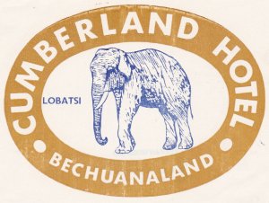 Bechuanaland Lobatsi Cumberland Brown Elephant Vintage Luggage Label sk3195