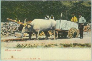 85859 - vintage postcard - car mass - car with ox-