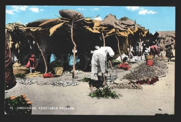 116833 Sudan OMDURMAN Vegetable Sellers Karakashian Bros photo