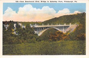 New Beechwood Blvd Bridge Pittsburgh, Pennsylvania, USA