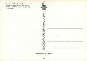 Postcard ethnic French traditions folklore costumes Venise VErte