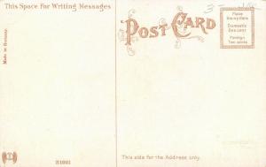 Cadillac Michigan~Carnegie Public Library~Beech Street~SL&Co 1908 Postcard