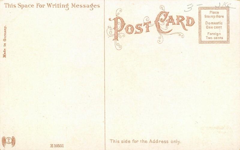 Cadillac Michigan~Carnegie Public Library~Beech Street~SL&Co 1908 Postcard