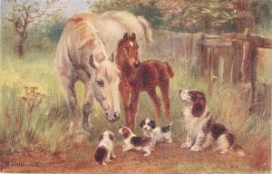 Norah Drummond. Horses and Dogs Tuck Oiette Chums Ser. PC # 8646
