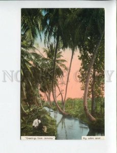 3172181 GREETINGS from JAMAICA Rio Cobre Canal Old postcard