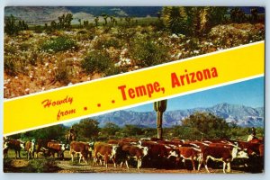 c1950's Howdy From Tempe Multiview Group Of Cows Arizona Correspondence Postcard