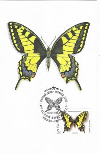 Paplio Machaon L Butterfly and Butterfly Stamp 4 by 6 Russia?