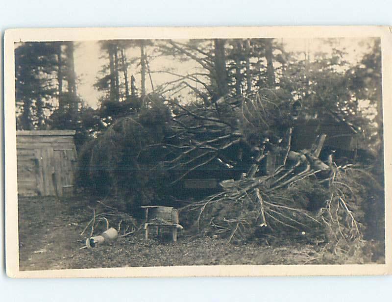 Pre-1924 rppc abstract BROKEN TREE THAT FELL DURING WIND STORM HM0723