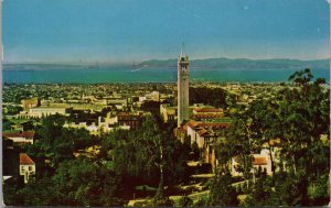 Panorama of University of California Postcard PC389