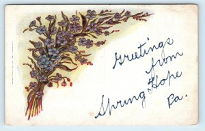 GREETINGS from SPRING HOPE, PA Pennsylvania ~1907 Nash County Postcard