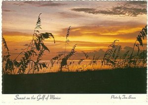 Sunset On The Gulf Of Mexico, Florida, 1983 Chrome Postcard, Flag Slogan Cancel