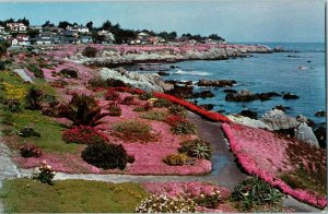 Lovers Point Pacific Grove Monterey Peninsula California Postcards 1959-
