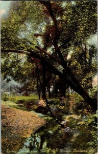 Spring Brook Near North End Bridge, Rockford IL Vintage Postcard V38