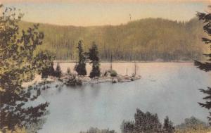 California Sequoia National Park Sequoia Lake Scenic View Postcard J70572